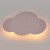 4967_CLOUD_ROSE_O1.jpg