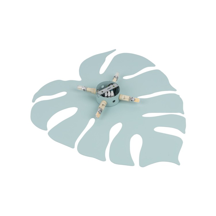 5913_MONSTERA_MINT_XL_D.jpg