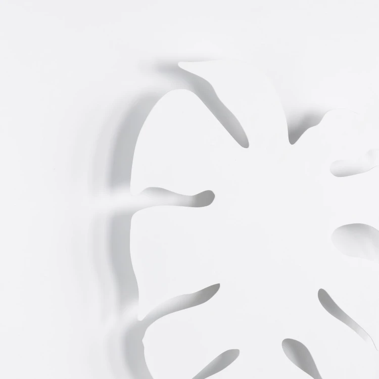 4667_MONSTERA_WHITE_D_1.jpg