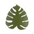 4668_MONSTERA_GREEN_A.jpg