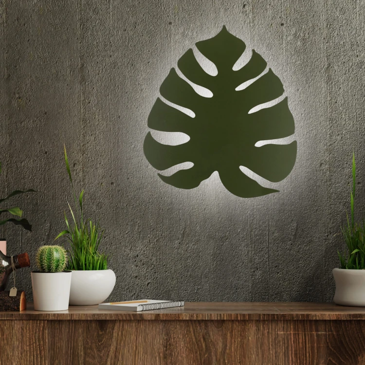 4668_MONSTERA_GREEN_B.jpg