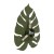 4668_MONSTERA_GREEN_P.jpg