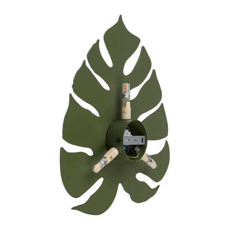 4668_MONSTERA_GREEN_P.jpg