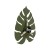 4668_MONSTERA_GREEN_T.jpg