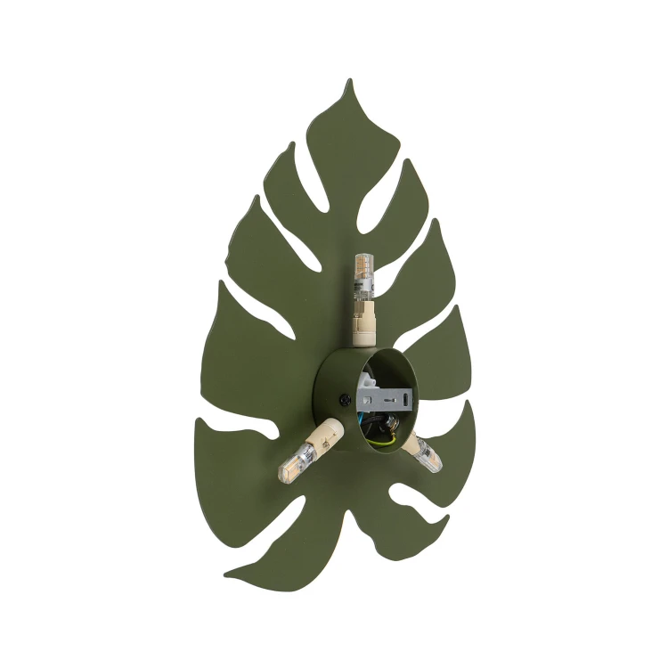 4668_MONSTERA_GREEN_T.jpg