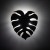5719_MONSTERA_BROWN_SMAL_B.jpg