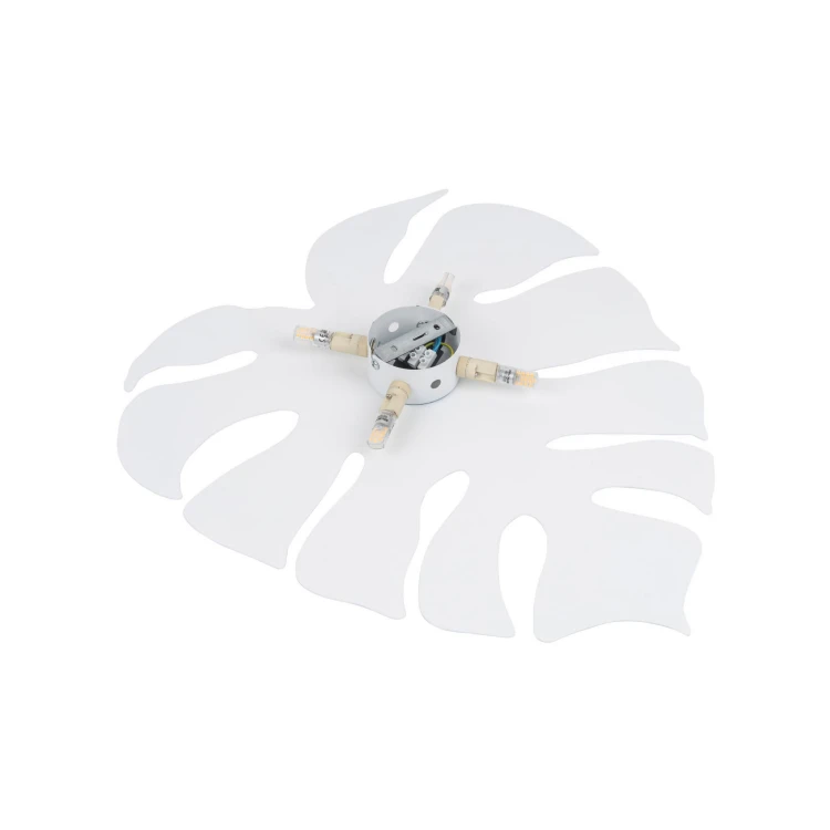 5915_MONSTERA_WHITE_XL_D.jpg
