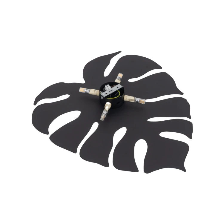 5916_MONSTERA_BLACK_XL_T.jpg