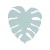 5947_MONSTERA_MINT_A.jpg
