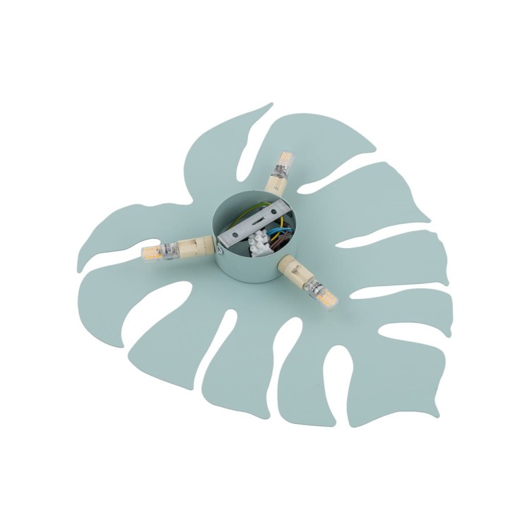 5947_MONSTERA_MINT_D.jpg