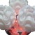 plafon-sada-3xe14-bialo-srebrny-lp-1193c-light-prestige-6.jpg