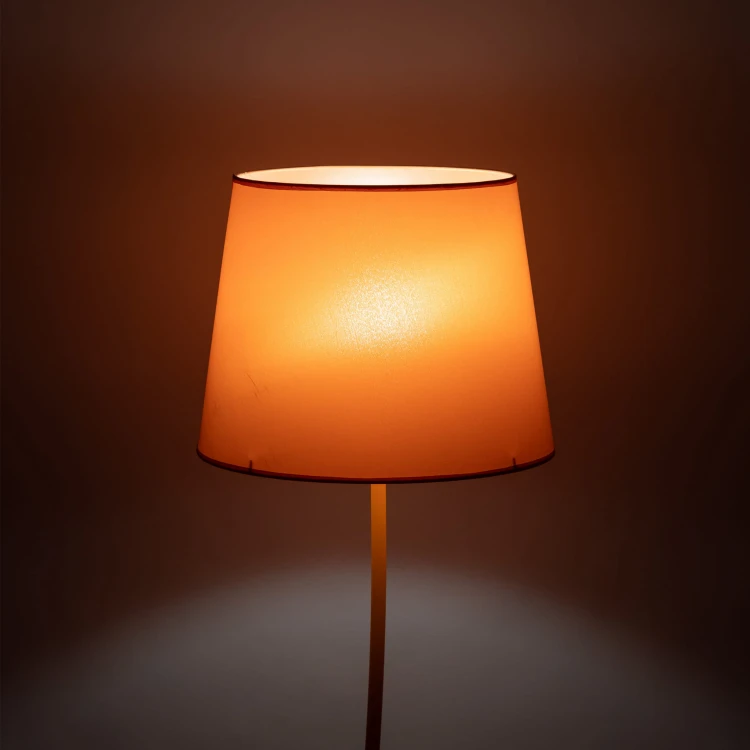 6644_NICOLA_ORANGE_B1.jpg