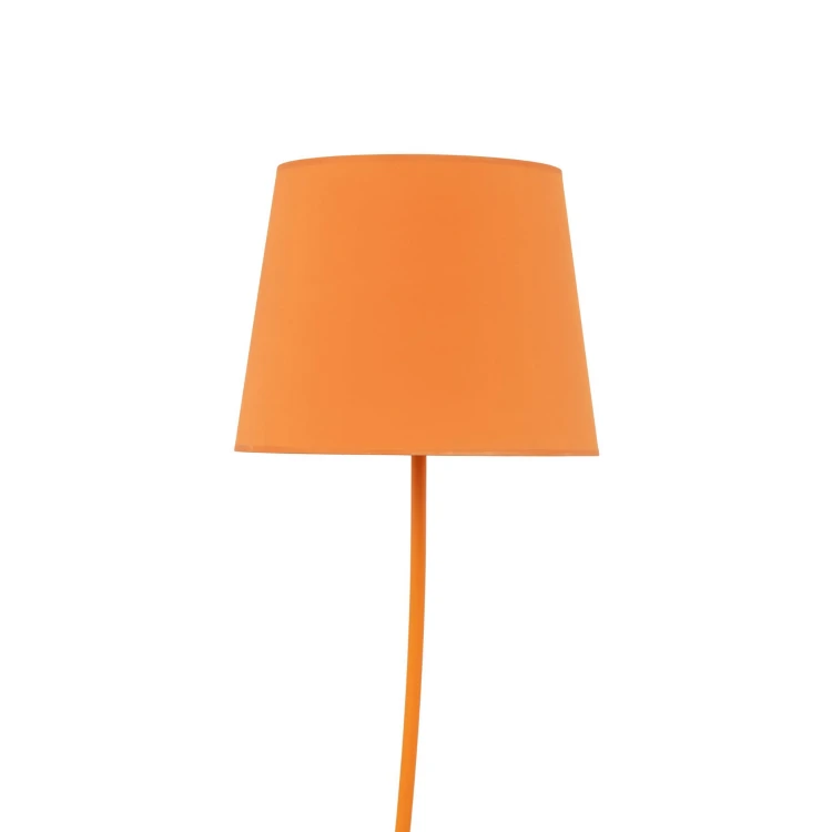 6644_NICOLA_ORANGE_D.jpg