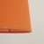 6644_NICOLA_ORANGE_D1.jpg