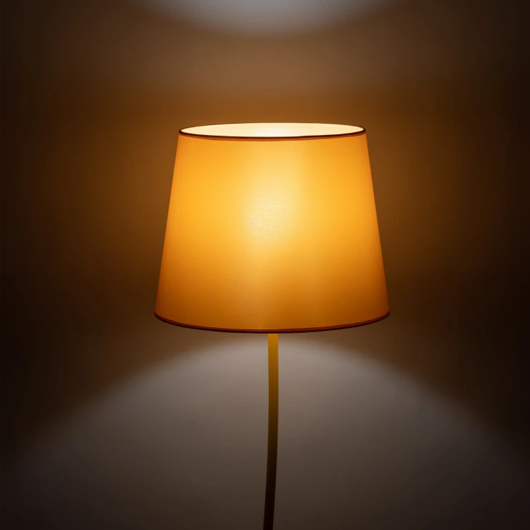 6645_NICOLA_YELLOW_B1.jpg