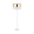 5074_HILTON_GOLD_A.jpg