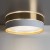 4772_HILTON_GOLD_B_1.jpg