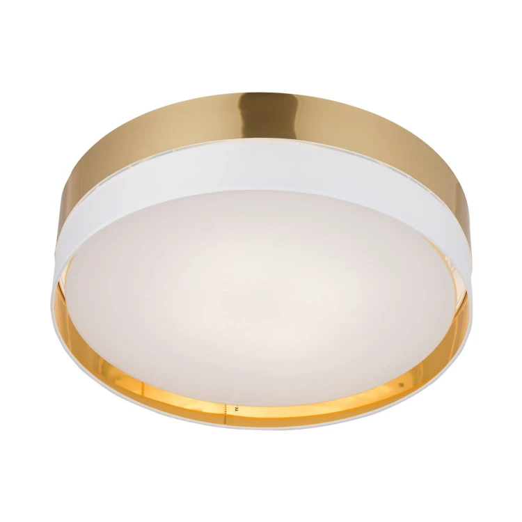 4773_HILTON_GOLD_P.jpg