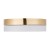 4773_HILTON_GOLD_W_1.jpg