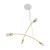 5622_HELIX_GOLD_P.jpg