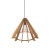 6586_ERIS_WOOD_G.jpg