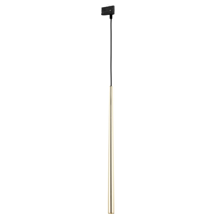 6029_TRACER_GOLD_A.jpg