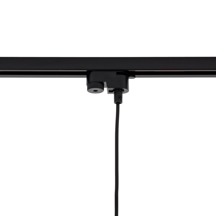 4929_TRACER_D1.jpg
