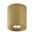 3198_ORION_GOLD_A.jpg