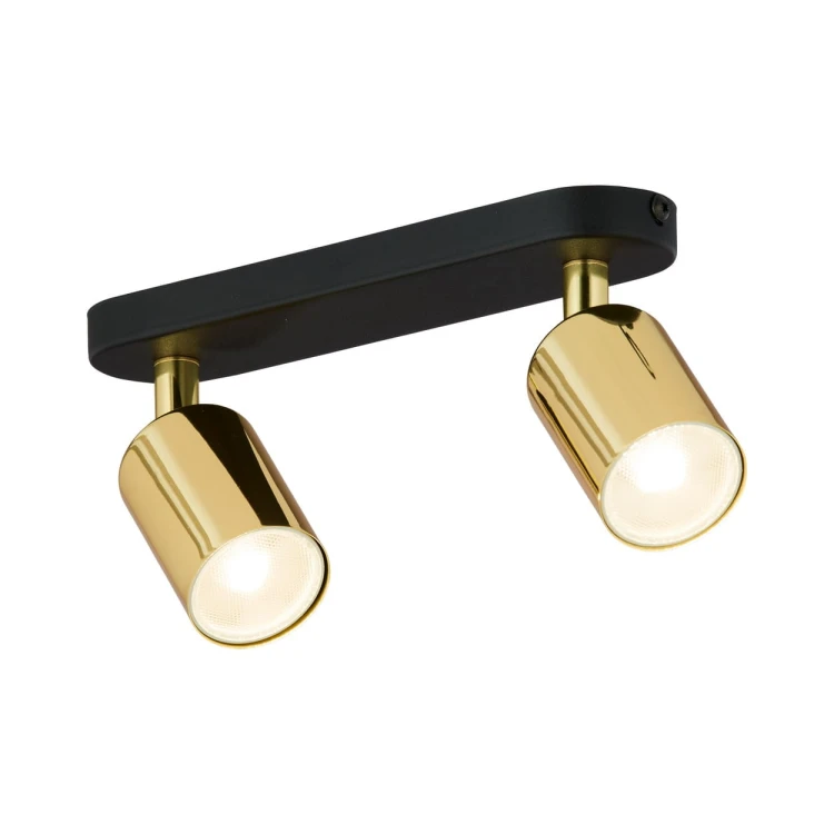 4519_HURON_GOLD_O.jpg