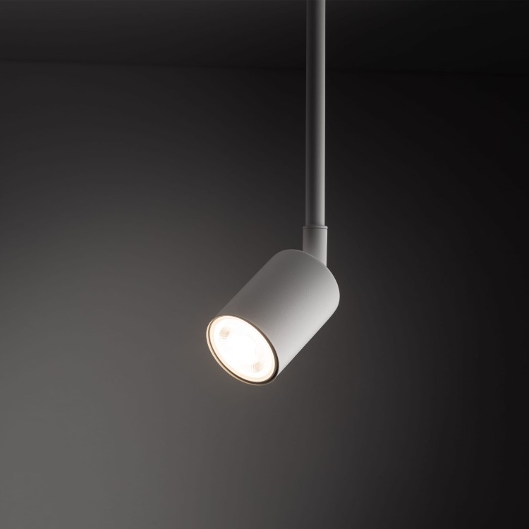 4888_TRACER_WHITE_O.jpg
