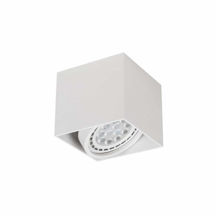 cardi-i-bianco-02.jpg