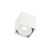 cardi-l-small-bianco-2.jpg