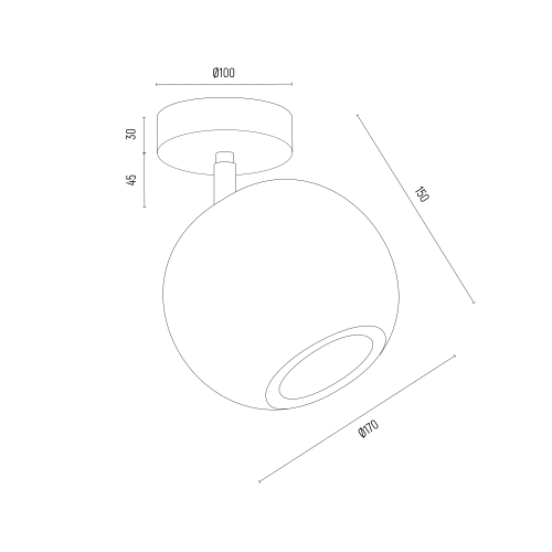 PARULA_8275.png