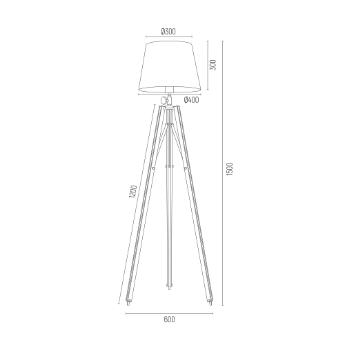 ASTER_3421.png