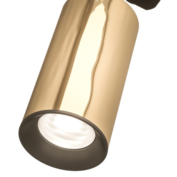 lea-track-gold-4-z.jpg
