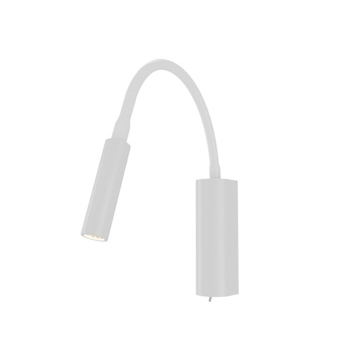 nuto-bianco-1-z.jpg