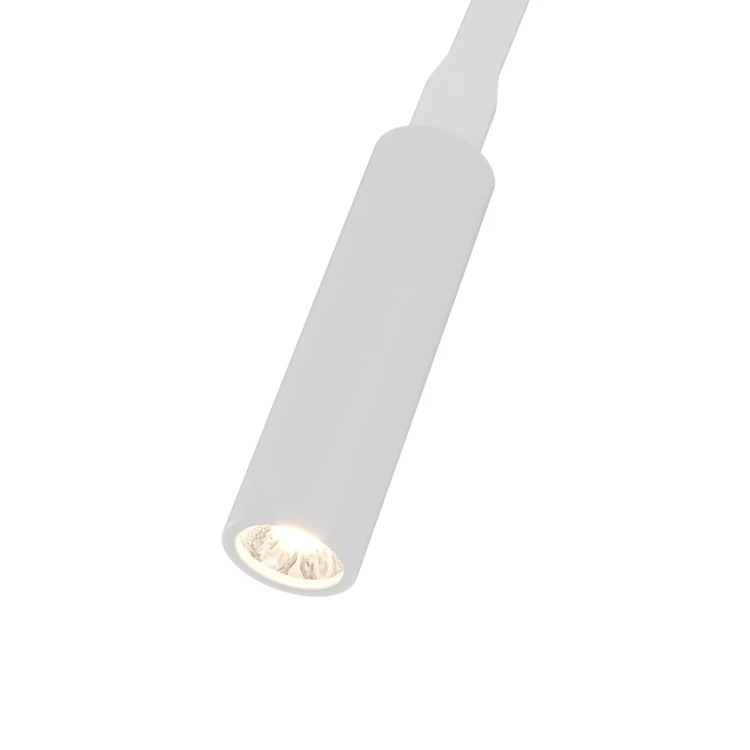 nuto-bianco-3-z.jpg
