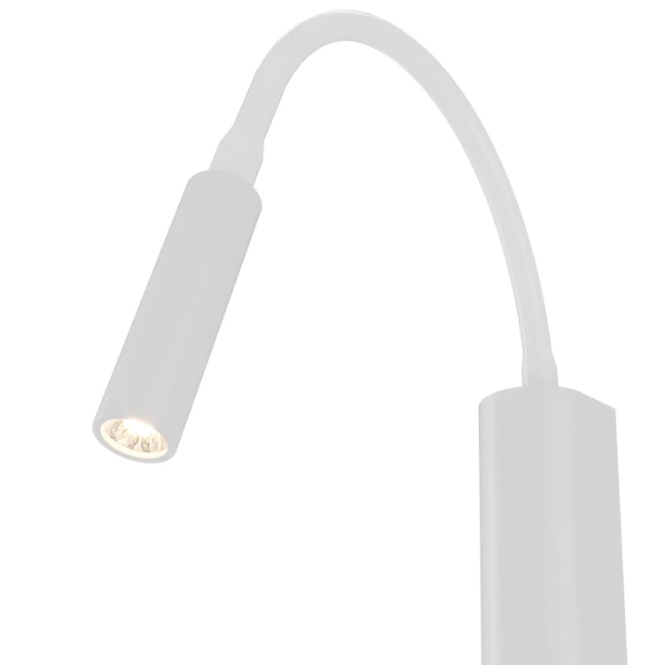 nuto-bianco-2-z.jpg