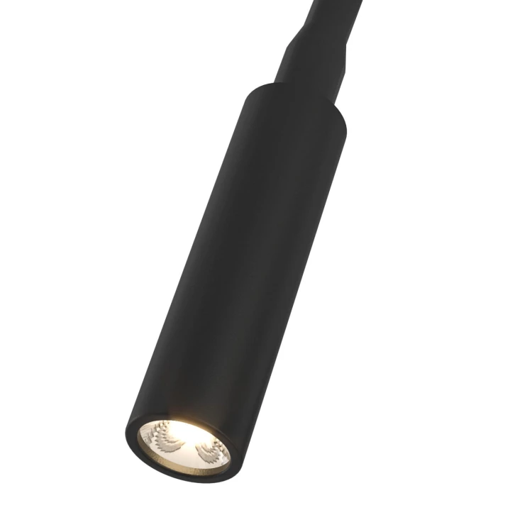 nuto-nero-2-z.jpg