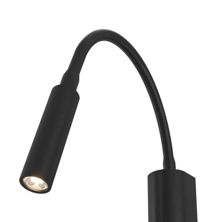 nuto-nero-3-z.jpg
