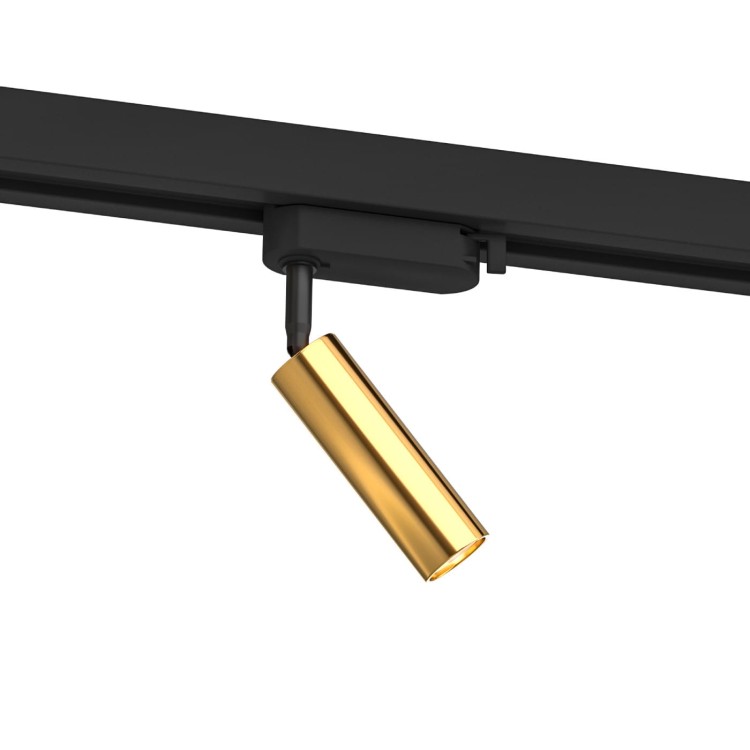 slimi-track-gold-1.jpg