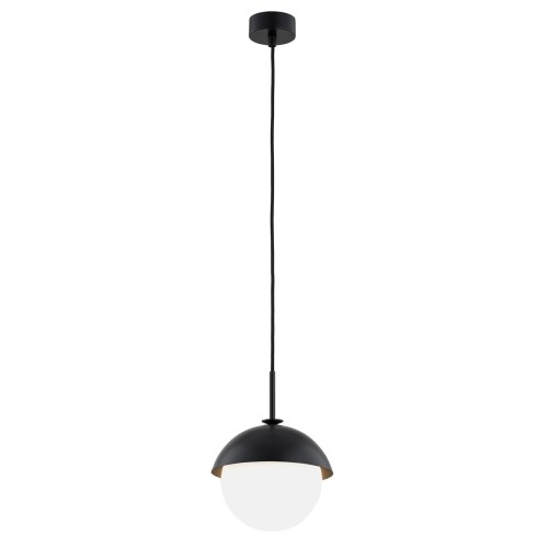 CAPPELLO_8295_01_net.jpg