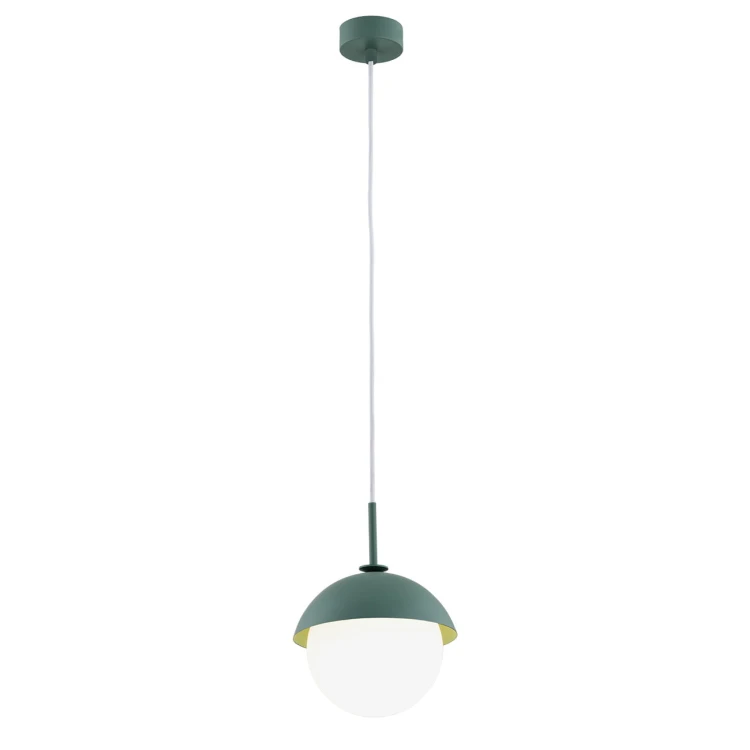 CAPPELLO_8297_01_net.jpg