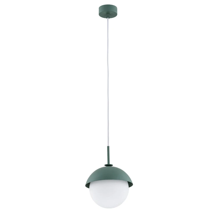 CAPPELLO_8297_02_net.jpg