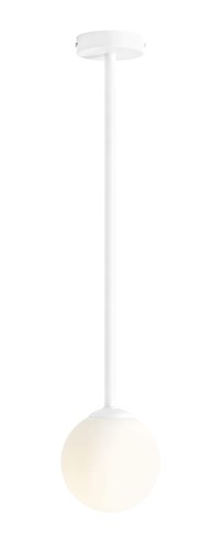 11581_1_394.jpg