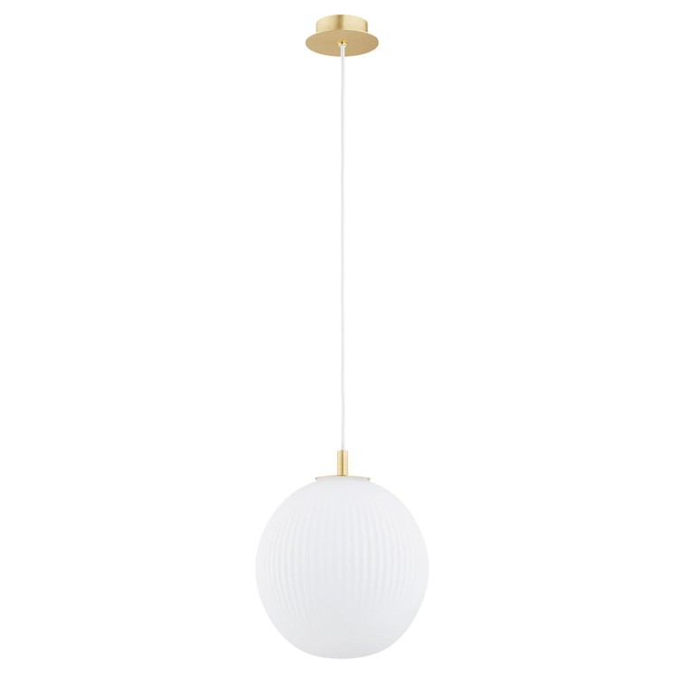 PALOMA_8507_02_net.jpg