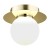 TREVI_8239_0_net.jpg