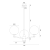 PALOMA_6307_6310.png