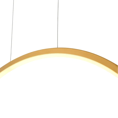 Lampa-Wiszaca-Loop-M-1xLED-zlota-IP44-PL0119-85-GD-2.webp