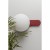 export.jpg